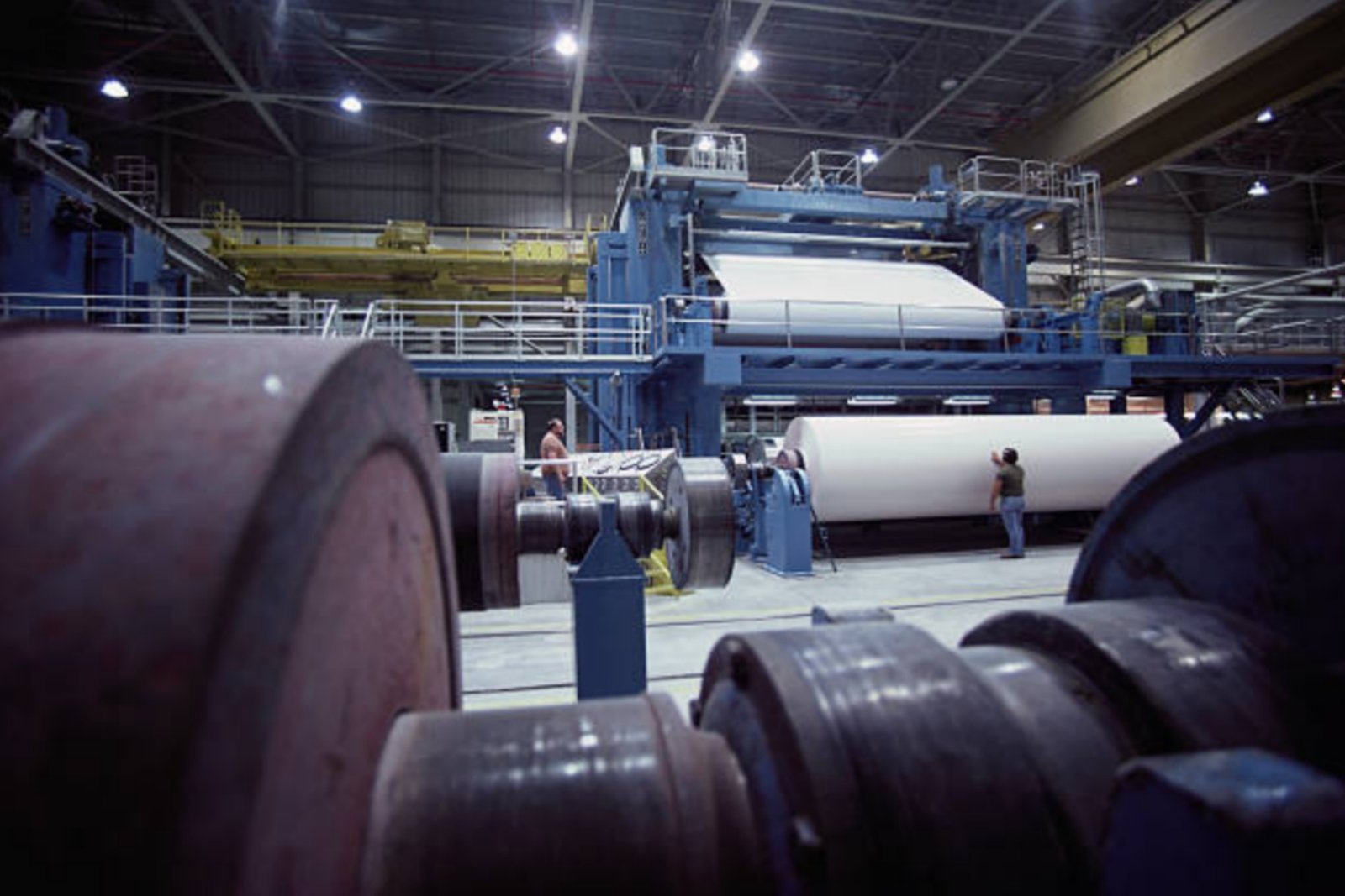 Paper Mill Plants